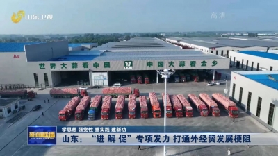 学思想 强党性 重实践 建新功丨山东：“进解促”专项发力 打通外经贸发展梗阻