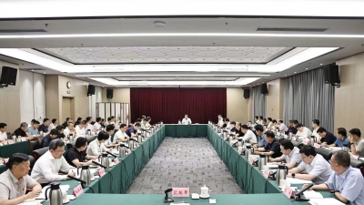 市委常委会召开会议 学习贯彻习近平总书记重要讲话重要指示精神 研究进一步做好统计工作等事项