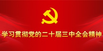 学习贯彻党的二十届三中全会精神