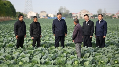 “努力创造经得起历史、实践和人民检验的业绩”——习近平总书记在湖北考察纪实‍‍
