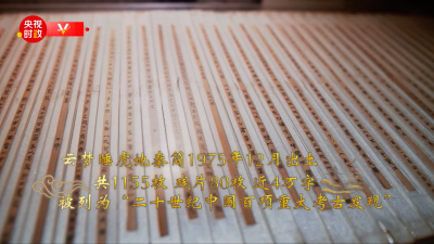习近平湖北行丨璀璨历史 现代绽放——走进云梦县博物馆
