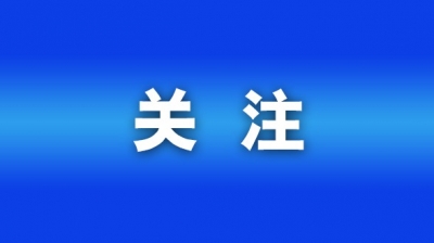 百万候鸟迁飞山东 好生态带火“观鸟经济”