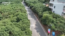 运动会 | 广东队夺得男子定向接力赛冠军