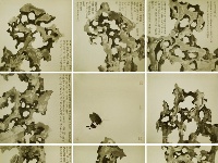 樊磊作品欣赏