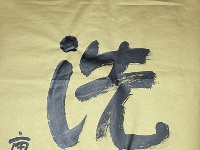 赵长刚《放眼洗耳联》