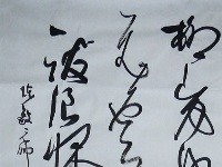 翟圣亮《草书陈毅元帅诗一首》