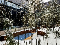 山东画院空中花园