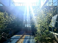 山东画院空中花园