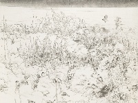 第八屆全國畫院美術(shù)作品展覽| 中國畫作品展——山東入選作品欣賞（一）