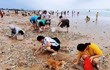 台风过后青岛海滩上全是海鲜 市民拎水桶麻袋捡嗨了