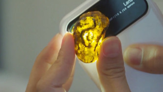 科学家找到9000多万年前的琥珀，看清琥珀里的物体后不淡定了