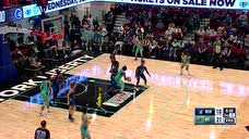 【回放】WNBA常规赛：明尼苏达山猫vs纽约自由人第2节