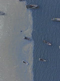 山东长岛海边现冰冻奇观似“鸳鸯锅”：一半冰一半海