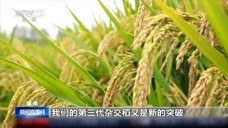 袁隆平解读：第三代杂交水稻好在哪？今年又有什么小目标？
