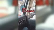 重庆保时捷女司机“黑历史”被扒：我红灯乱闯，飙车出名！