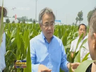国务院副总理胡春华：着力促进农业稳定发展农民持续增收