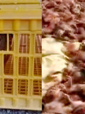 太惨！猫头鹰夜闯养鸡场吓死1800多只鸡，场主一瞬间损失10多万