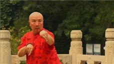 70岁螳螂拳大师展示什么是真正的螳螂拳！每一招都威力十足！