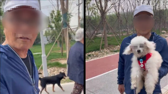 北京警方通报男子遛狗不拴绳还骂人：未登记年检养犬，罚款2500元