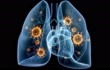 59岁新冠患者肺部扫描影像曝光 感染速度和面积惊人 