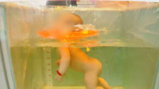 女婴在家人监护下游泳窒息死亡，回家后看到一条勒痕全家崩溃
