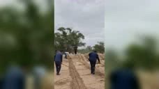 八步沙林场的护林人员采用草方格固沙