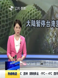 大陆暂停台湾菠萝输入 民进党劝民众:大块啃 当菜吃