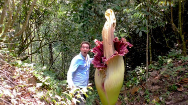 真实存在的“食人花”，体型巨大，被称为“世界花王”！