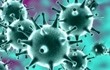 PNAS：中国研究者发现新型猪流感病毒，具大流行病潜力