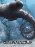海洋最早的霸主“奇虾”，身长6米，形态恐怖 