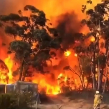 燃烧的澳洲，澳大利亚森林大火近距离实拍，大火太疯狂了
