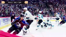 【回放】NHL斯坦利杯总决赛G3：蓝调vs棕熊 第三节