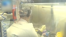 美国流行病学专家：新冠病毒不可能源于实验室