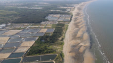 银滩变黑沙滩：养殖污水直排大海20公里 记者调查发现气愤一幕
