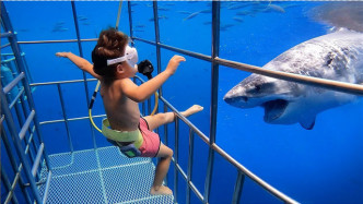 爸爸带五岁孩子近距离观看鲨鱼，不料意外发生，真是个坑娃的爹！