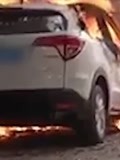 广东一10岁男孩烧毁4辆车：看电视上的爆炸觉得很刺激