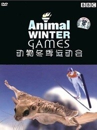 BBC：动物冬季运动会